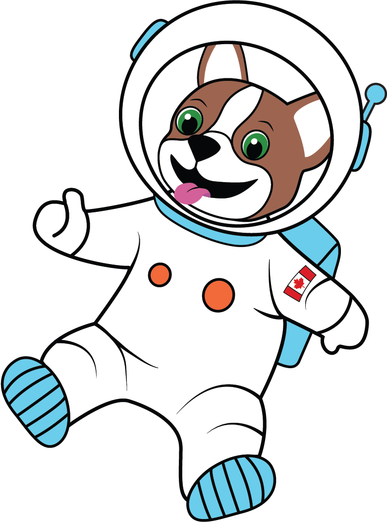 Rocket Accounting Mascot 2