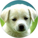 Guljar Nanda profile picture